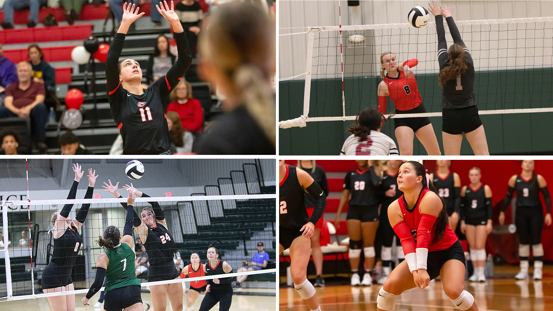 Rio Grande was represented on the All-RSC Women's Volleyball teams by, from left to right, (top row) Elle McLoughlin and Kelli Stewart; (bottom row) Averie Bruce and Jenna Harrison. McLoughlin was also named the league's Setter of the Year.