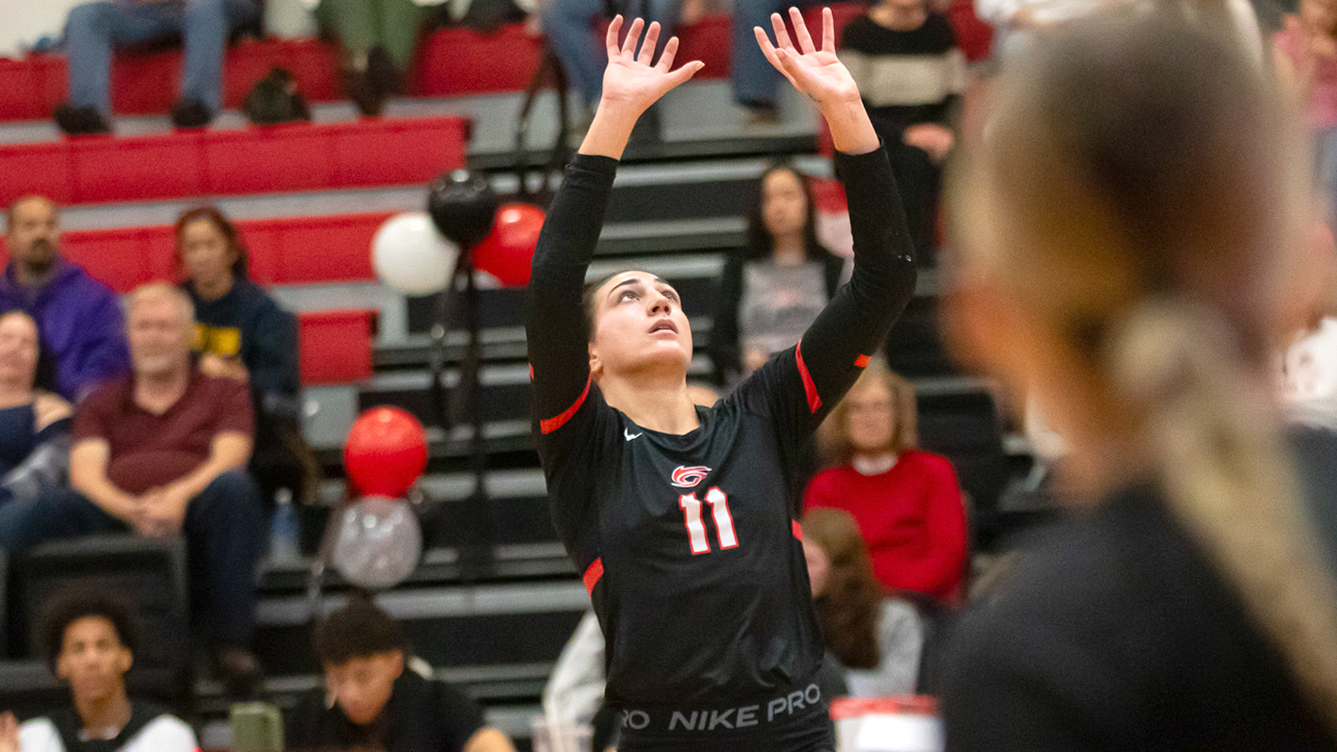 Rio Grande's Elle McLoughlin sets up a teammate for a kill during Saturday's Senior Day rout of WVU Tech at the Newt Oliver Arena.
